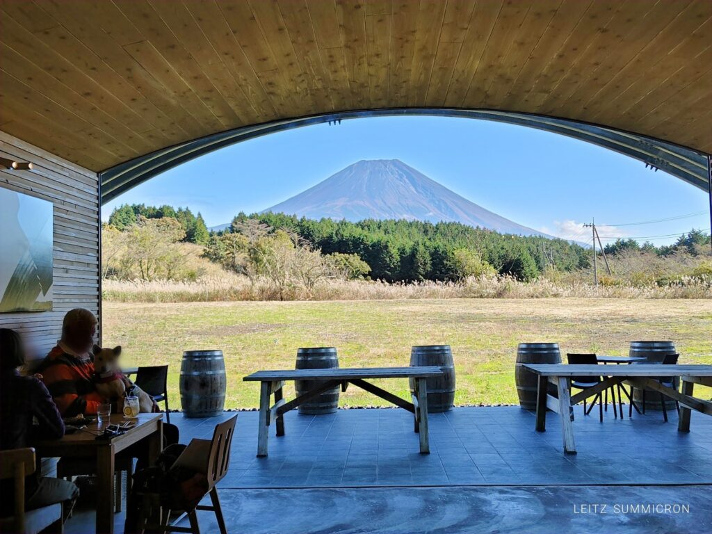 富士宮市【カフェシゼン（Cafe SHIZEN）】ダヤンテールblog