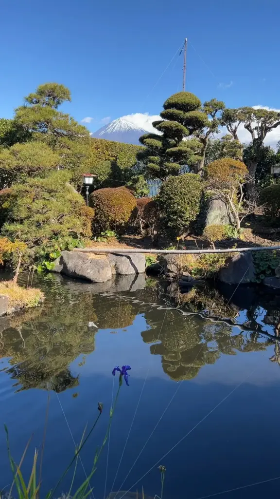 富士宮市【肉料理の片岡】高級肉料理を富士山が臨める個室でリーズナブルに！ダヤンテールblog