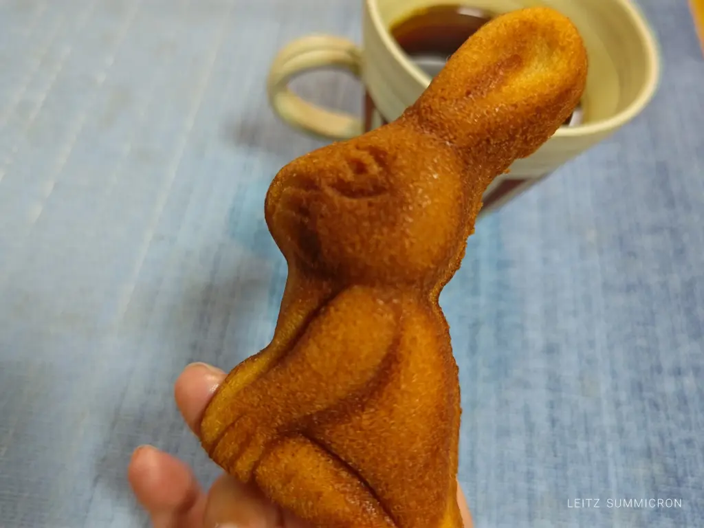 富士市【はなとうさぎ】レトロなリノベ空間で販売するボリュームたっぷりの安心安全なお菓子たち!ダヤンテールblog