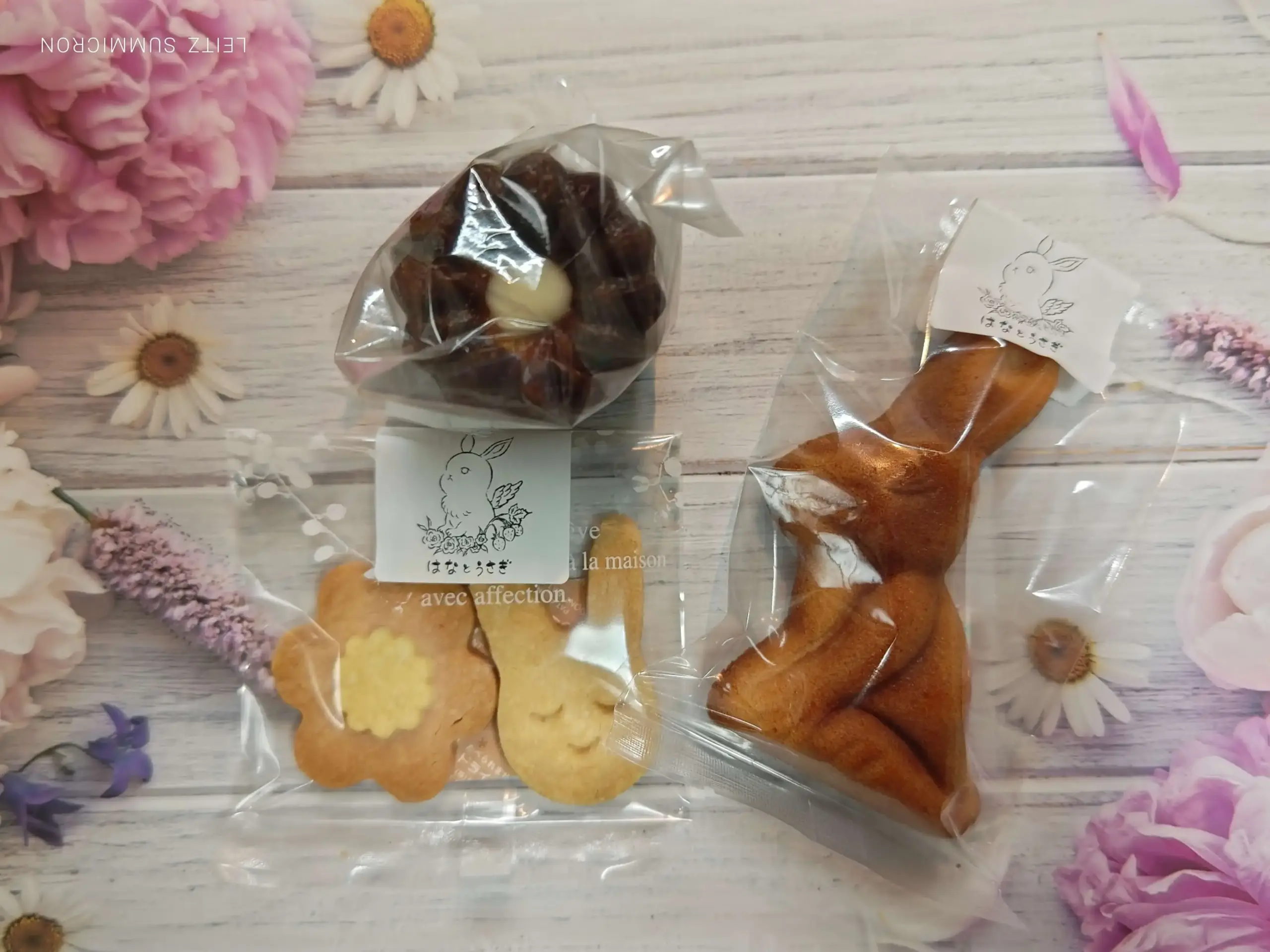 富士市【はなとうさぎ】レトロなリノベ空間で販売するボリュームたっぷりの安心安全なお菓子たち!ダヤンテールblog