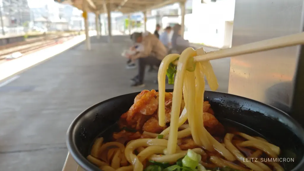 富士市『駅そば』・『駅弁』紹介!大正時代からの老舗仕出し・弁当の【富陽軒】が提供するノスタルジックな味!ダヤンテールblog