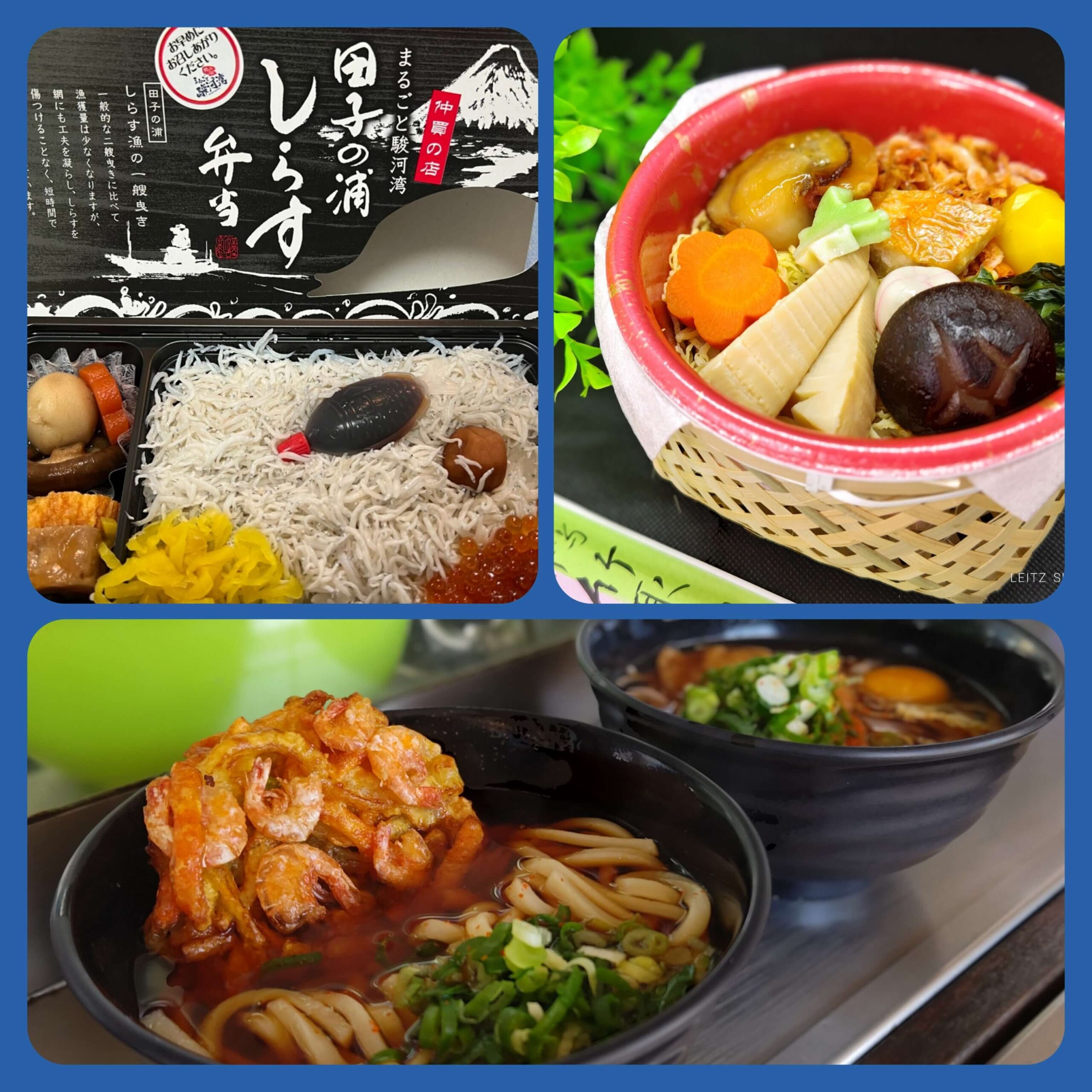 『駅そば』富士駅・『駅弁』東海道新幹線新富士駅レポ！『立ち食い蕎麦』『竹取物語』『しらす弁当』！ダヤンテールblog