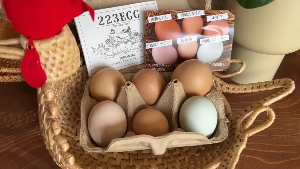 富士市【SORATOFUJI】6月13日オープン!平飼い育鶏の卵223エッグを使用したプリンやシフォンケーキテイクアウトの店!ダヤンテールblog