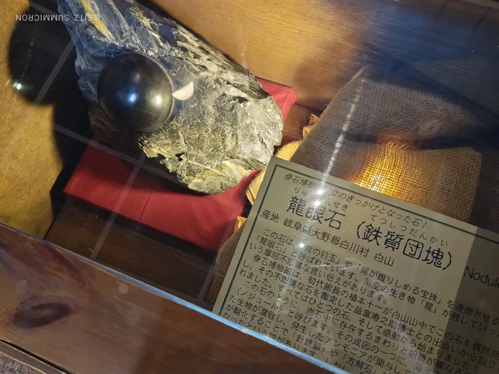 富士宮市【奇石博物館】が面白い!週末カフェ開催!化石愛さく裂の新名物食べてみた!ダヤンテールblog