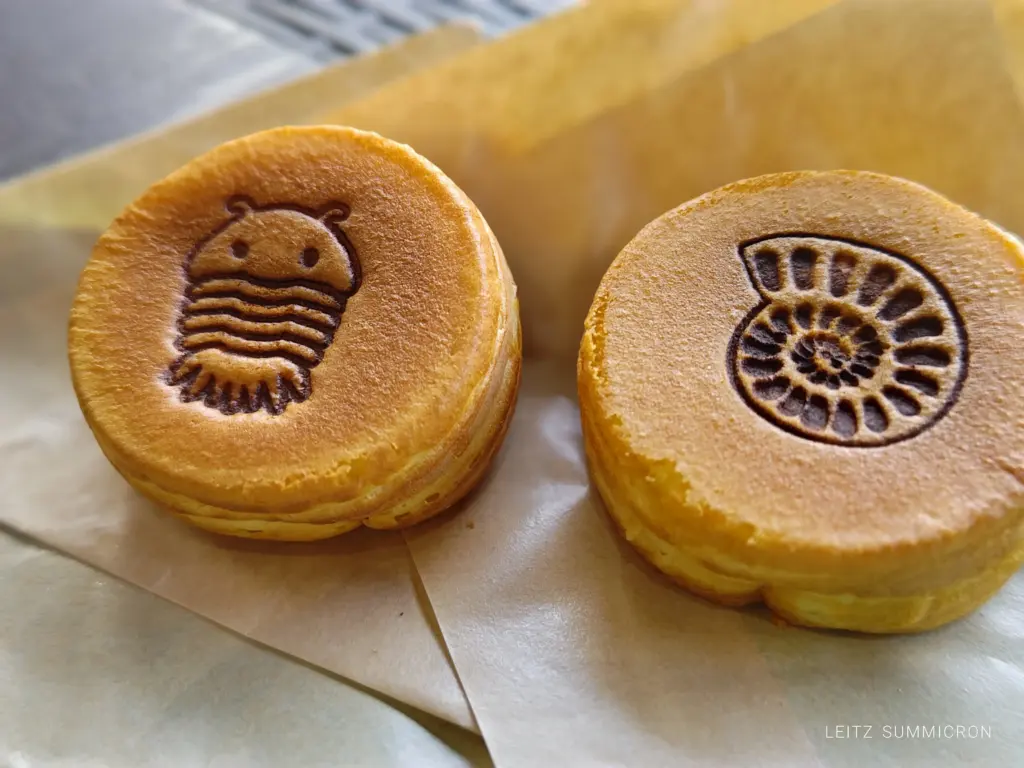 富士宮市【奇石博物館】が面白い!週末カフェ開催!化石愛さく裂の新名物食べてみた!ダヤンテールblog