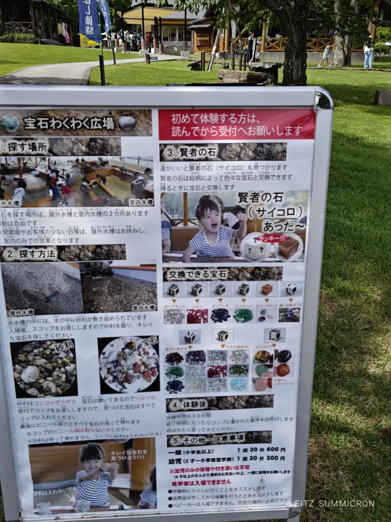 富士宮市【奇石博物館】が面白い!週末カフェ開催!化石愛さく裂の新名物食べてみた!ダヤンテールblog