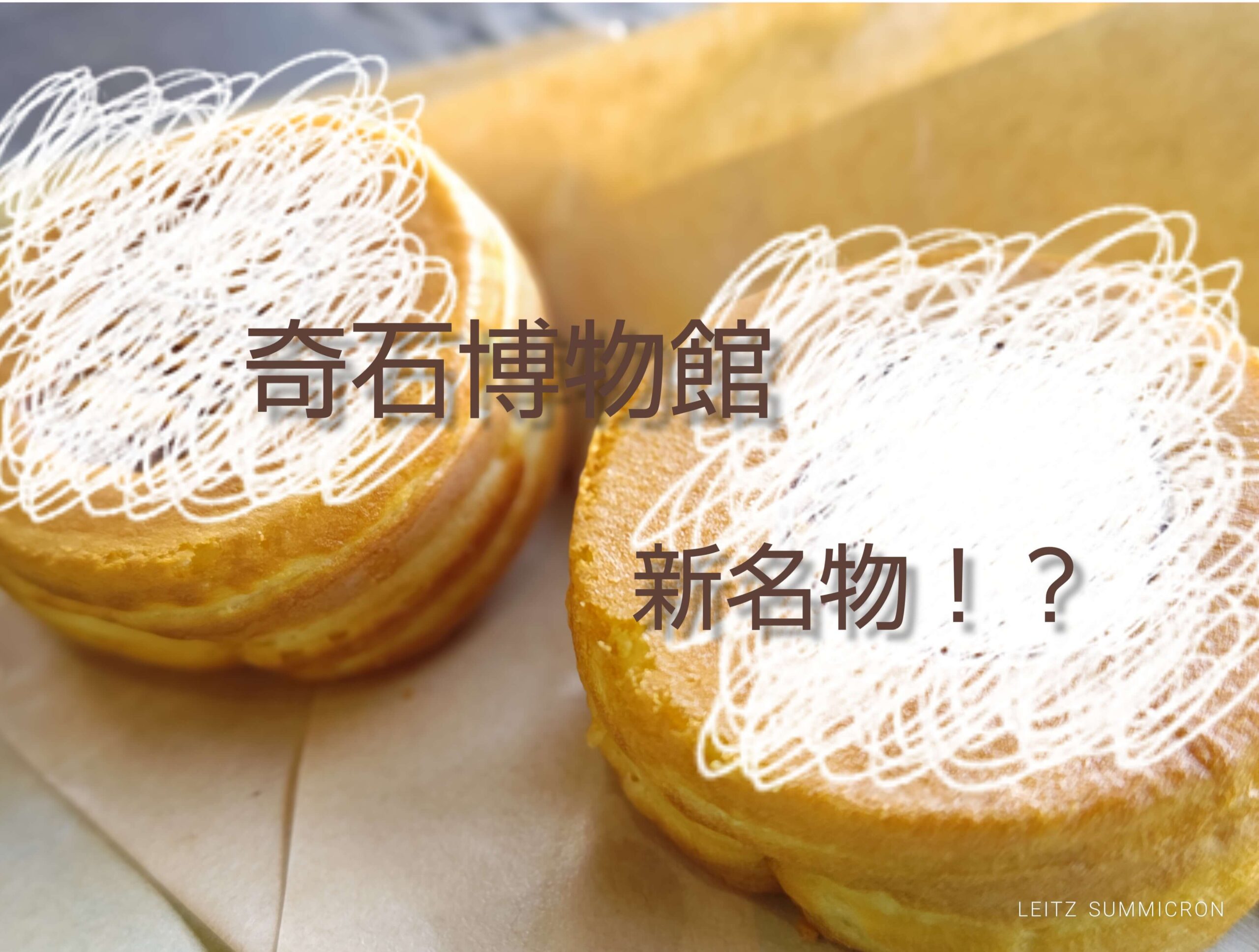 富士宮市【奇石博物館】が面白い！週末カフェ開催！化石愛さく裂の新名物食べてみた！ダヤンテールblog