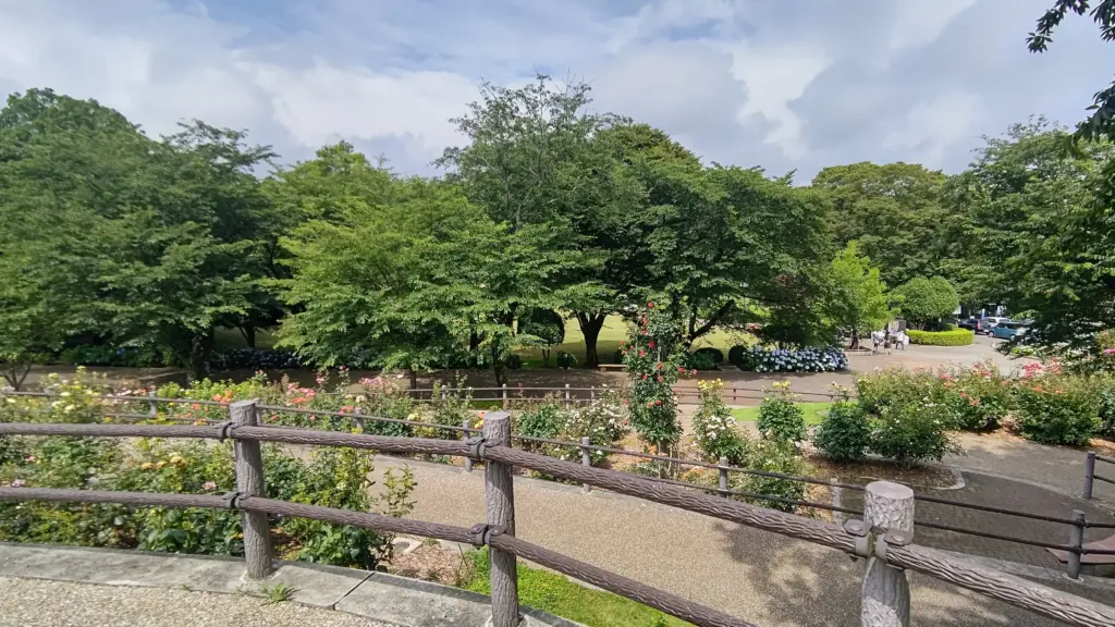 富士市【かぐや岩本山カフェ】絶景のカフェレストランでランチと桃デザート！ダヤンテールblog