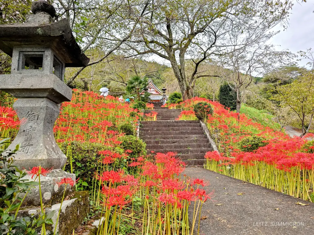 富士宮市【そば処黒門】美しき邑（むら）で見つけたボリュームたっぷり安価で本格！蕎麦の隠れ家的名店！ダヤンテールblog