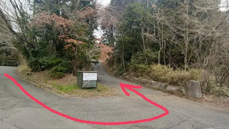 富士宮市【mame no ne】昨年末に完成した屋内イートイン席であったかシナモンロールとアップルティー!室内にいながら森林浴効果がありそう♪ダヤンテールblog