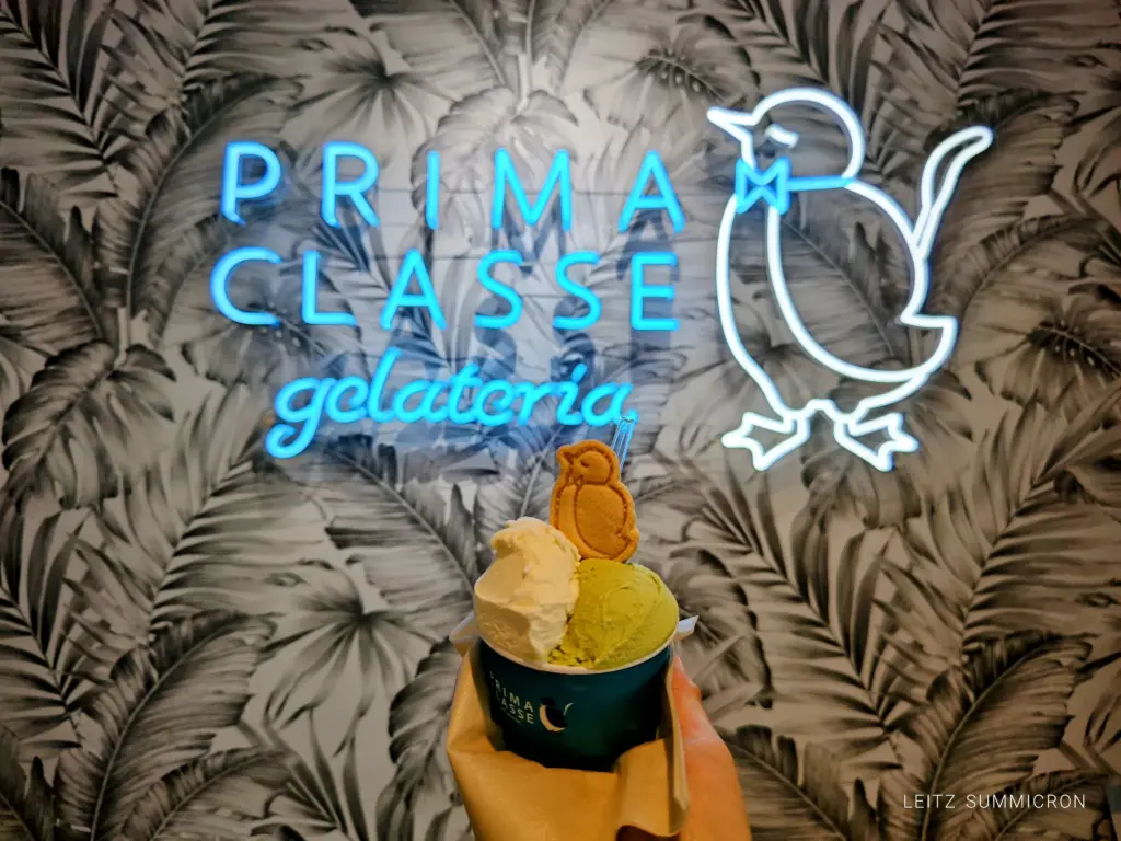 富士市【芙蓉峰の麵処 姓屋】【PRIMA CLASSE】全国区放送影響はまだ続いてた!平日でも待ち列発生の名物『白いカレーうどん』と、ジェラテリアの生ジェラート!ダヤンテールblog