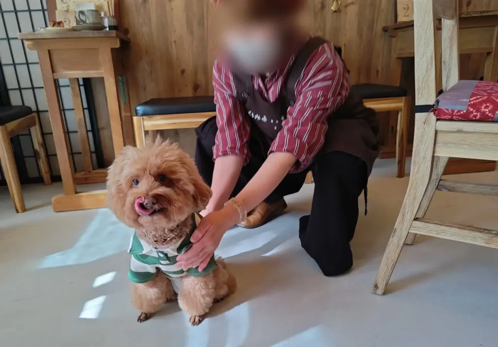 富士市【珈琲屋くるみ茶寮】ドッグカフェ!ワンコ連れもそうでない人も寛げる和カフェ!10月24日富士見台入口住宅地にオープン!ダヤンテールblog