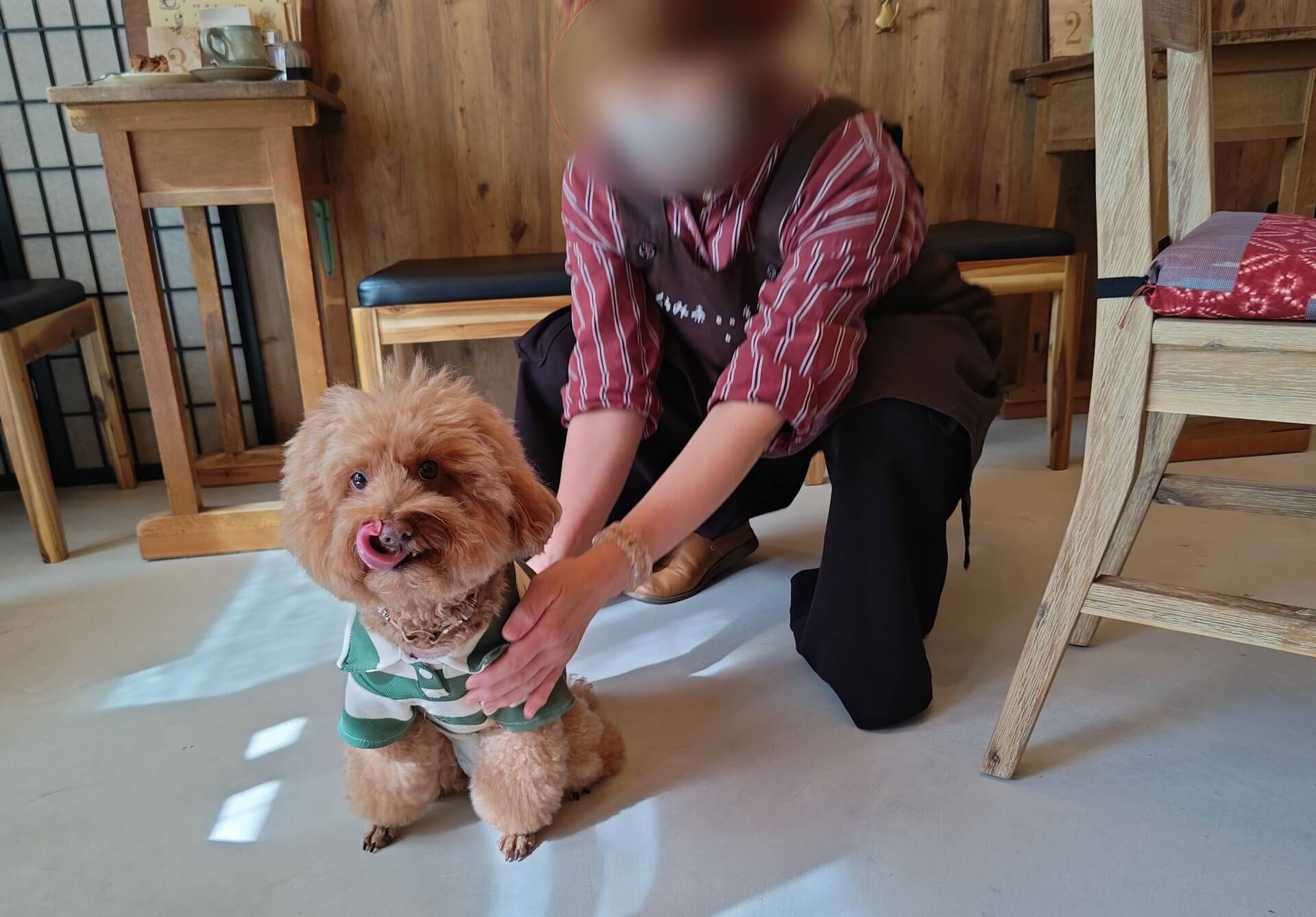 富士市【珈琲屋くるみ茶寮】ドッグカフェ!ワンコ連れもそうでない人も寛げる和カフェ!10月24日富士見台入口住宅地にオープン!ダヤンテールblog