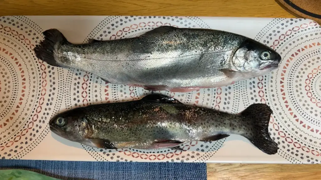 富士宮市【富士養鱒直営釣り堀】自然に近い渓流で手ぶらでマス釣り!自分で釣ったマスをその場で炭火焼や下処理して貰い持ち帰りも!ダヤンテールblog