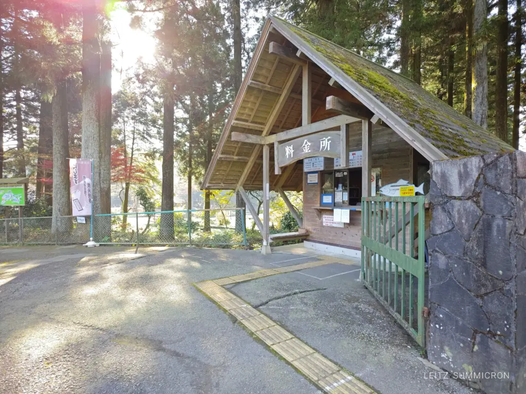 富士宮市【富士養鱒直営釣り堀】自然に近い渓流で手ぶらでマス釣り!自分で釣ったマスをその場で炭火焼や下処理して貰い持ち帰りも!ダヤンテールblog