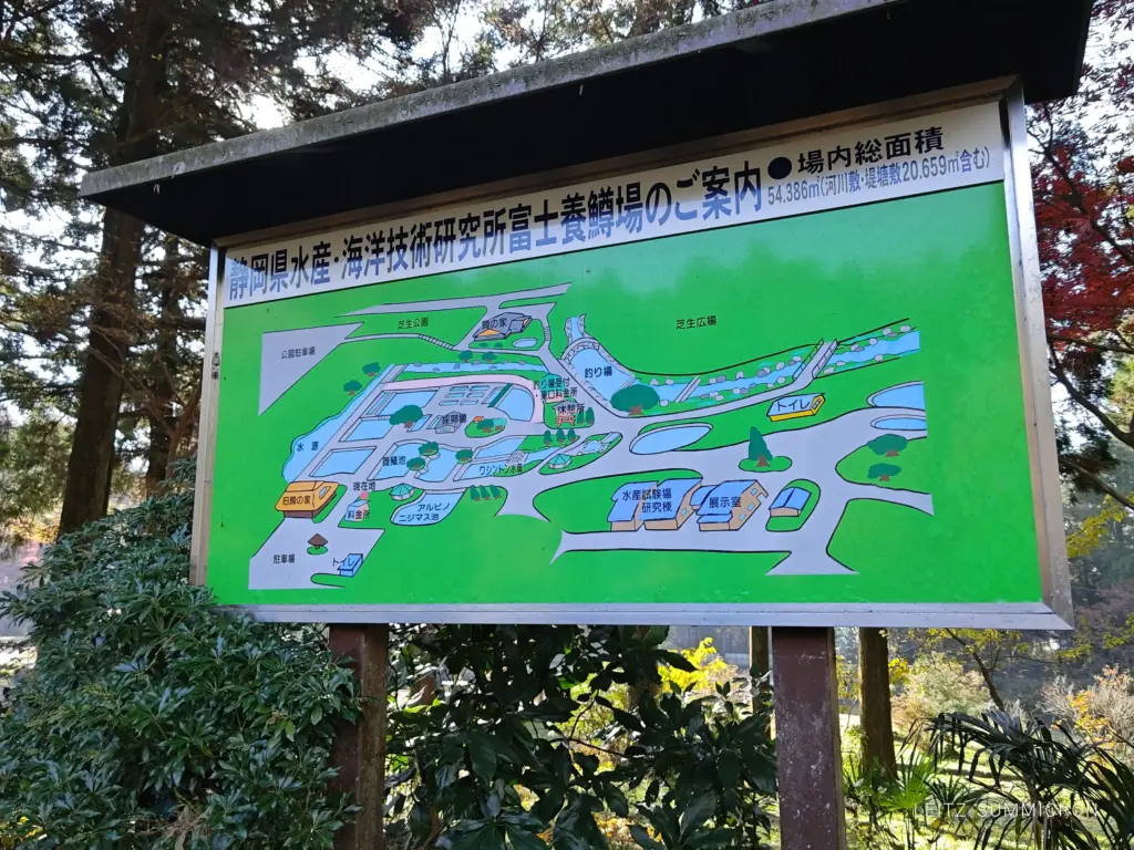 富士宮市【富士養鱒直営釣り堀】自然に近い渓流で手ぶらでマス釣り!自分で釣ったマスをその場で炭火焼や下処理して貰い持ち帰りも!ダヤンテールblog