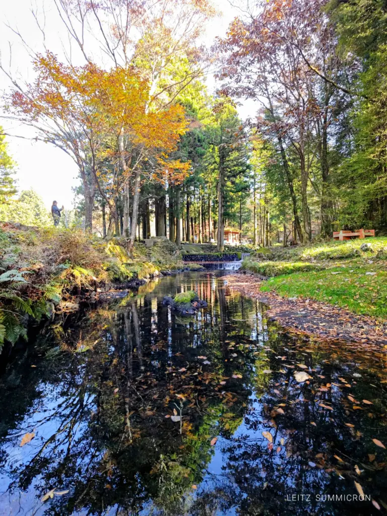 富士宮市【富士養鱒直営釣り堀】自然に近い渓流で手ぶらでマス釣り!自分で釣ったマスをその場で炭火焼や下処理して貰い持ち帰りも!ダヤンテールblog