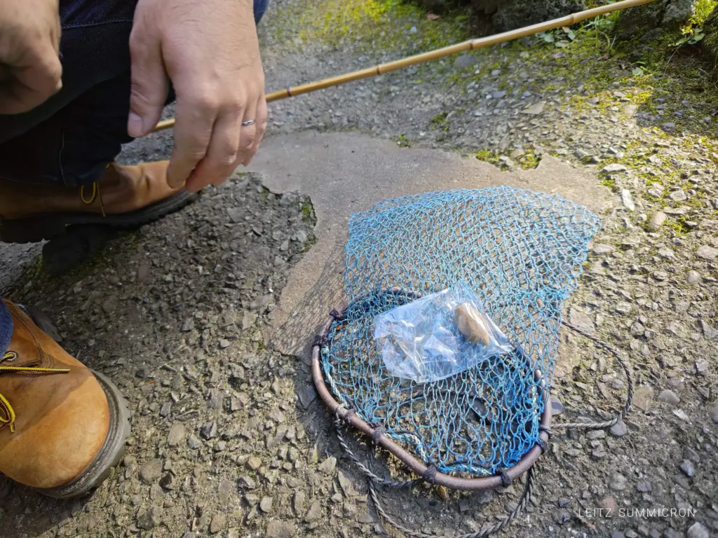富士宮市【富士養鱒直営釣り堀】自然に近い渓流で手ぶらでマス釣り!自分で釣ったマスをその場で炭火焼や下処理して貰い持ち帰りも!ダヤンテールblog