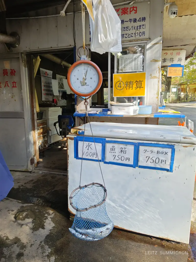 富士宮市【富士養鱒直営釣り堀】自然に近い渓流で手ぶらでマス釣り!自分で釣ったマスをその場で炭火焼や下処理して貰い持ち帰りも!ダヤンテールblog