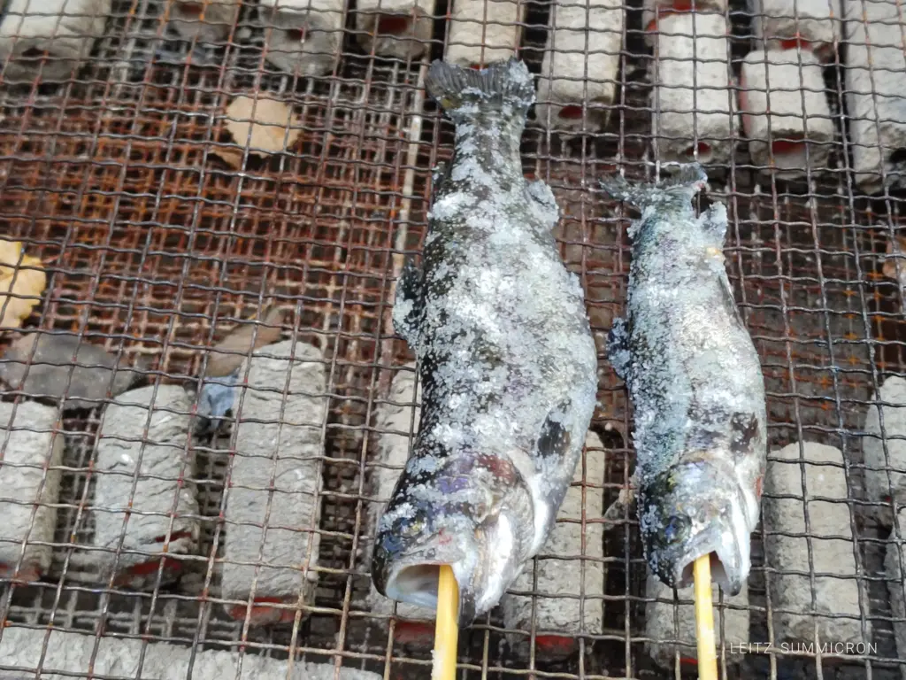 富士宮市【富士養鱒直営釣り堀】自然に近い渓流で手ぶらでマス釣り!自分で釣ったマスをその場で炭火焼や下処理して貰い持ち帰りも!ダヤンテールblog