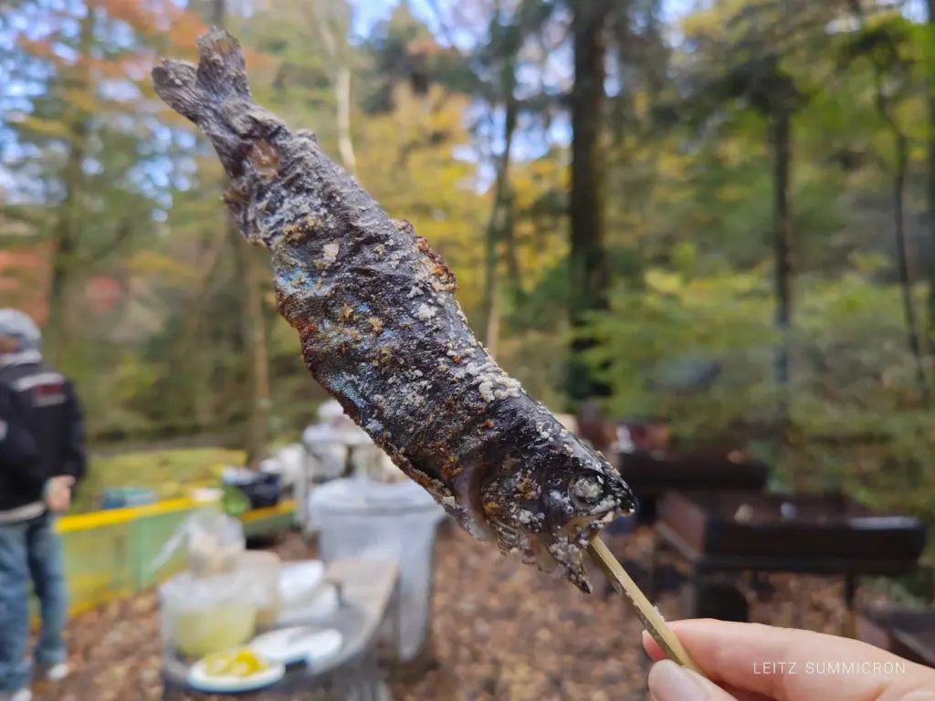 富士宮市【富士養鱒直営釣り堀】自然に近い渓流で手ぶらでマス釣り!自分で釣ったマスをその場で炭火焼や下処理して貰い持ち帰りも!ダヤンテールblog