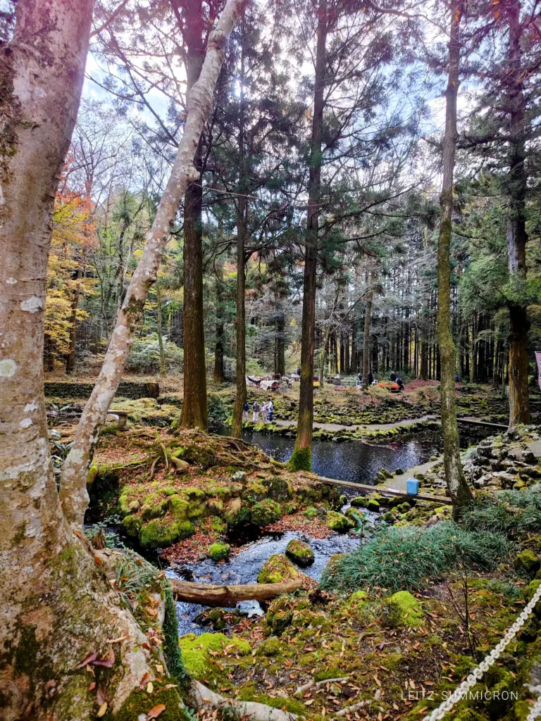 富士宮市【富士養鱒直営釣り堀】自然に近い渓流で手ぶらでマス釣り!自分で釣ったマスをその場で炭火焼や下処理して貰い持ち帰りも!ダヤンテールblog