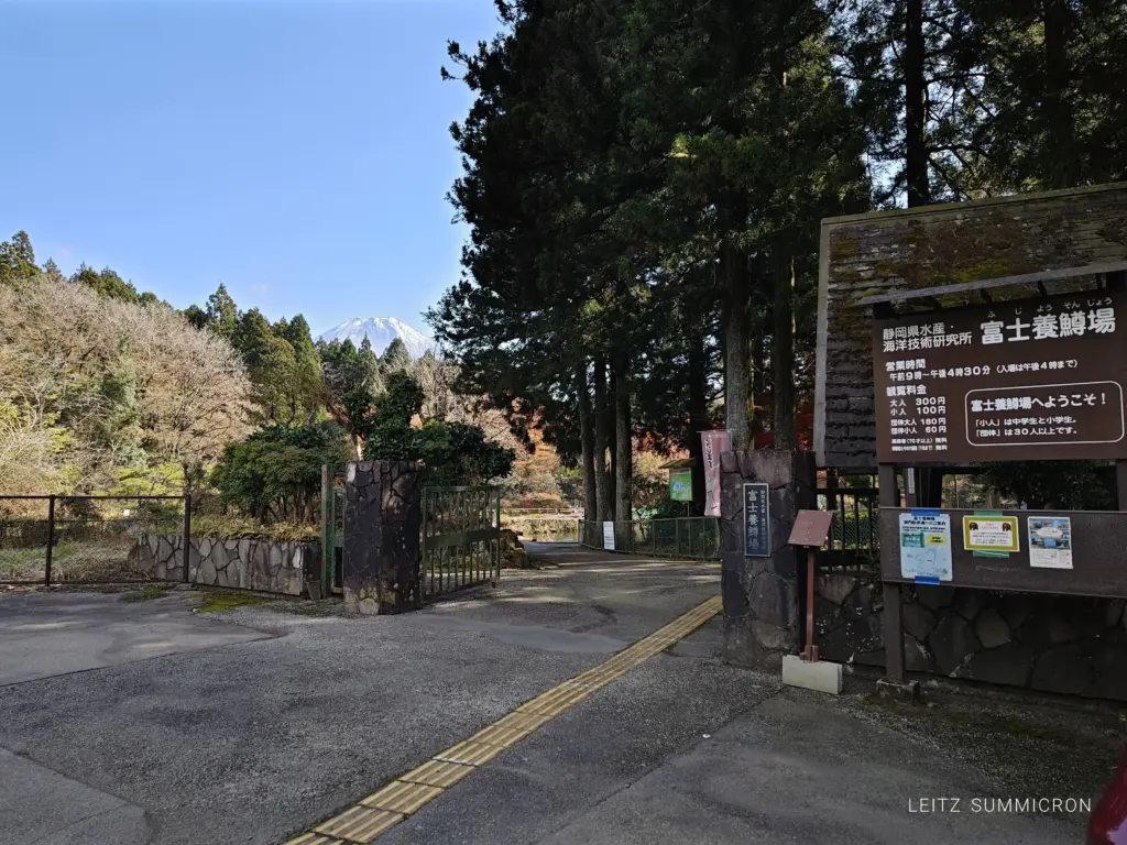 富士宮市【富士養鱒直営釣り堀】自然に近い渓流で手ぶらでマス釣り!自分で釣ったマスをその場で炭火焼や下処理して貰い持ち帰りも!ダヤンテールblog