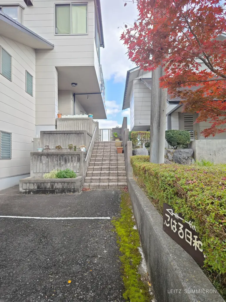 富士市【こはる日和】景観270度！想像以上の絶景の高台にあるおうちカフェで頂くスパイスカレー！ダヤンテールblog