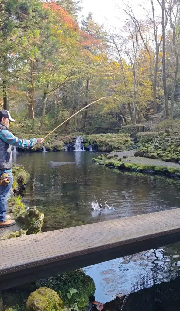 富士宮市【富士養鱒直営釣り堀】自然に近い渓流で手ぶらでマス釣り!自分で釣ったマスをその場で炭火焼や下処理して貰い持ち帰りも!ダヤンテールblog