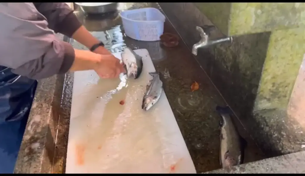 富士宮市【富士養鱒直営釣り堀】自然に近い渓流で手ぶらでマス釣り!自分で釣ったマスをその場で炭火焼や下処理して貰い持ち帰りも!ダヤンテールblog