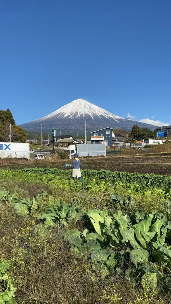 富士宮市【Farm House コウ】要予約で１組！採れたて自家生産野菜のピザランチと農業体験が美味しい！楽しすぎ！ダヤンテールblog