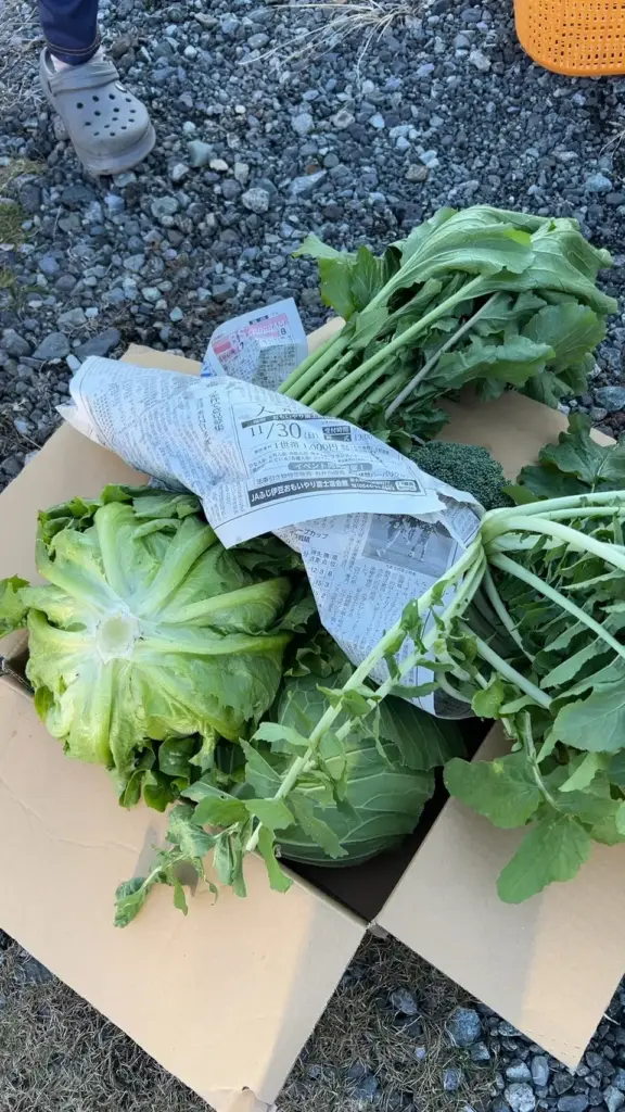 富士宮市【Farm House コウ】要予約で１組！採れたて自家生産野菜のピザランチと農業体験が美味しい！楽しすぎ！ダヤンテールblog