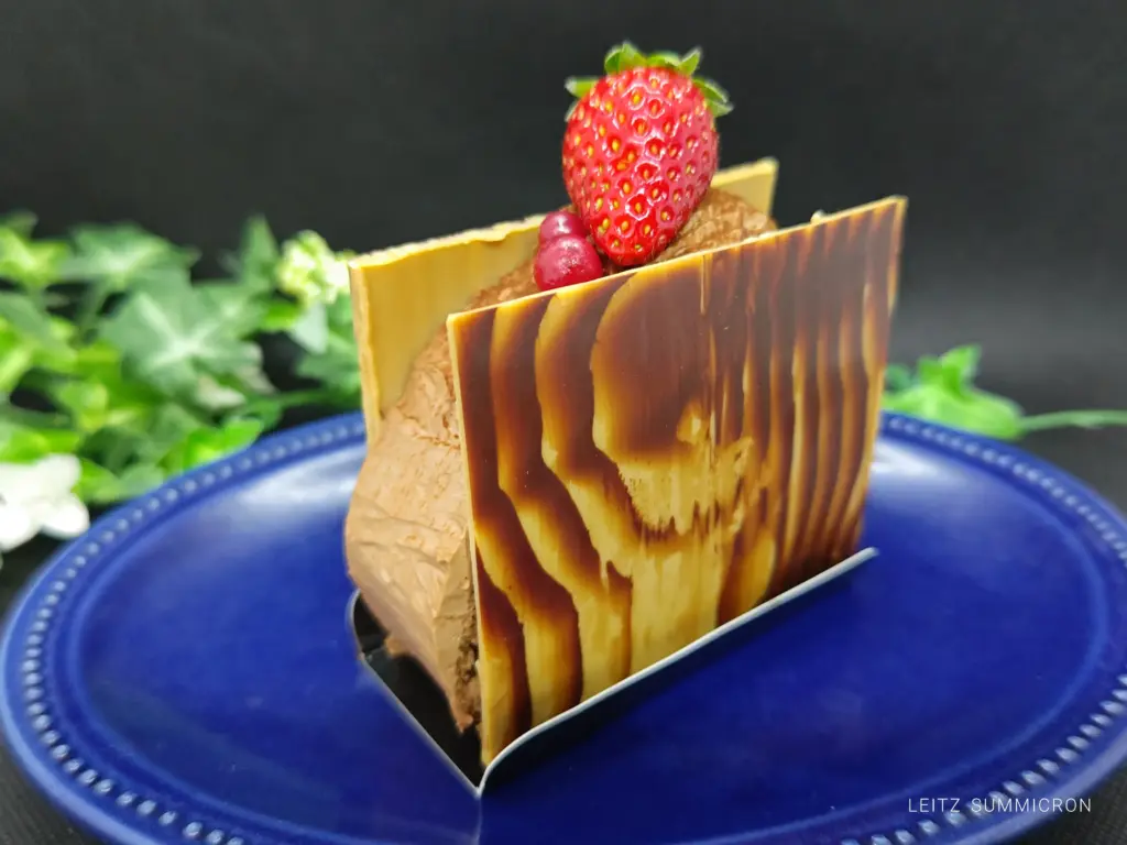 富士宮市【モンサンフジ】2025年10種以上の個性的クリスマスプチガトーの４日間の販売始まる！ダヤンテールblog