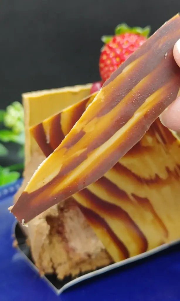 富士宮市【モンサンフジ】2025年10種以上の個性的クリスマスプチガトーの４日間の販売始まる！ダヤンテールblog