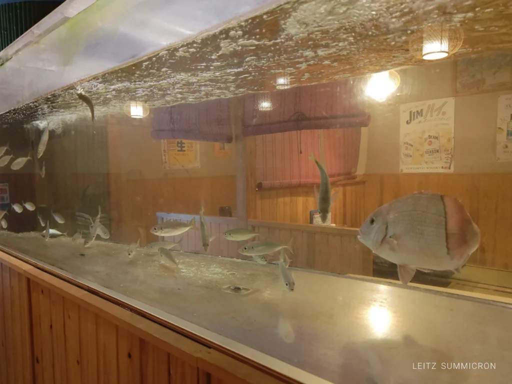 富士宮市【美酒佳肴和っしょい】居酒屋のリーズナブルランチ！1000円のおまかせ刺身定食！ダヤンテールblog