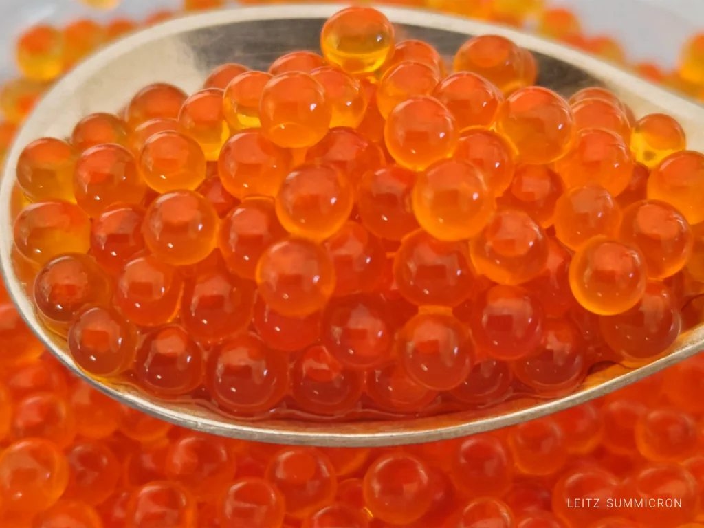 富士宮市【お食事処みつばつつじの家】富士宮市が生産量全国1位!真紅の宝玉ニジマスのイクラと熟成ニジマス料理の店!ダヤンテールblog