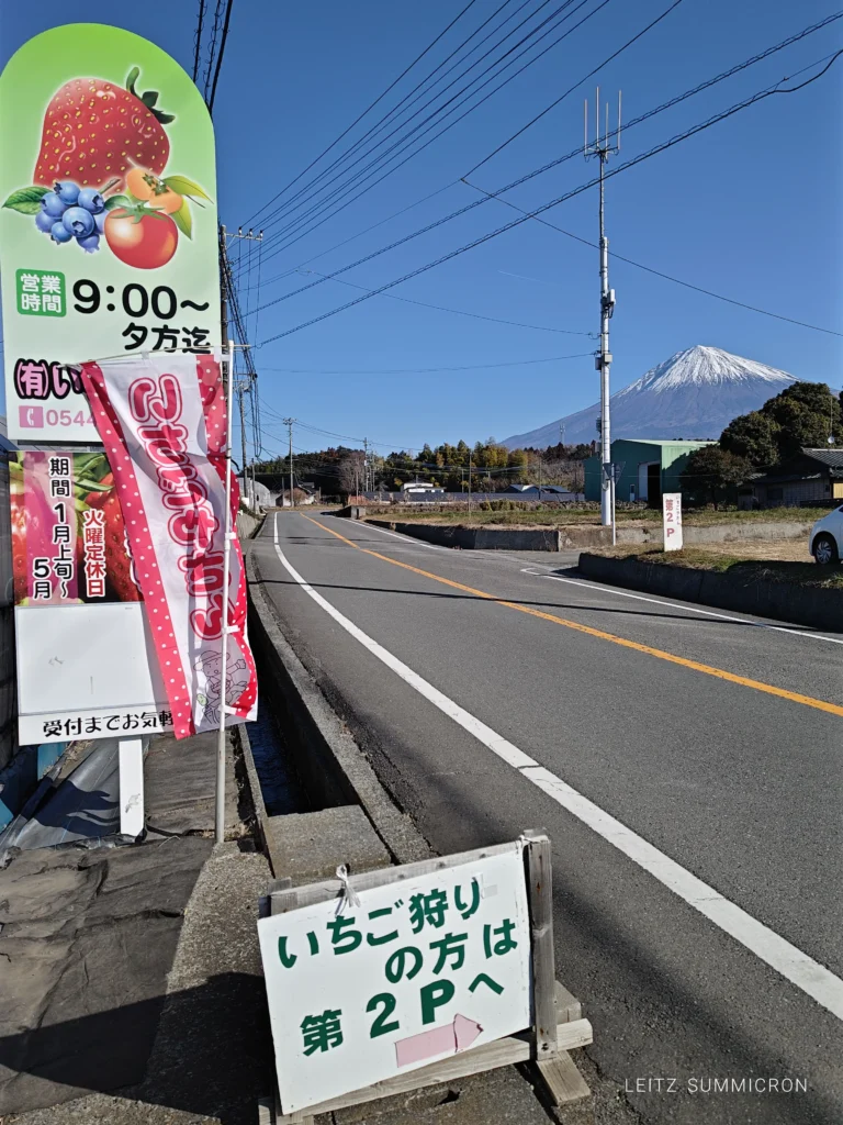 富士宮市【いちごやさん】大粒の章姫を連続で食す！甘さが続く大満足のいちご狩り！ダヤンテールblog