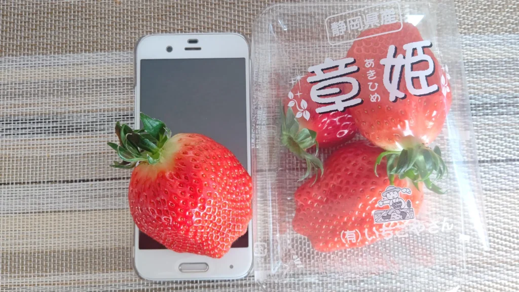 富士宮市【いちごやさん】大粒の章姫を連続で食す！甘さが続く大満足のいちご狩り！ダヤンテールblog