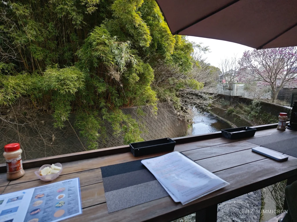 富士市【和田川リバーサイドカレーはな遊】川の借景と眼下に飛来する野鳥を愛でながら本格スパイス
和カレーとチャイ!ダヤンテールblog