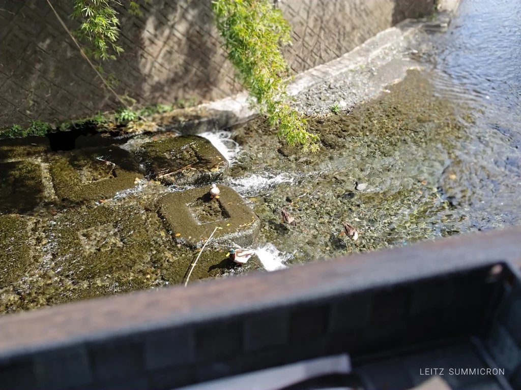 富士市【和田川リバーサイドカレーはな遊】川の借景と眼下に飛来する野鳥を愛でながら本格スパイス
和カレーとチャイ!ダヤンテールblog