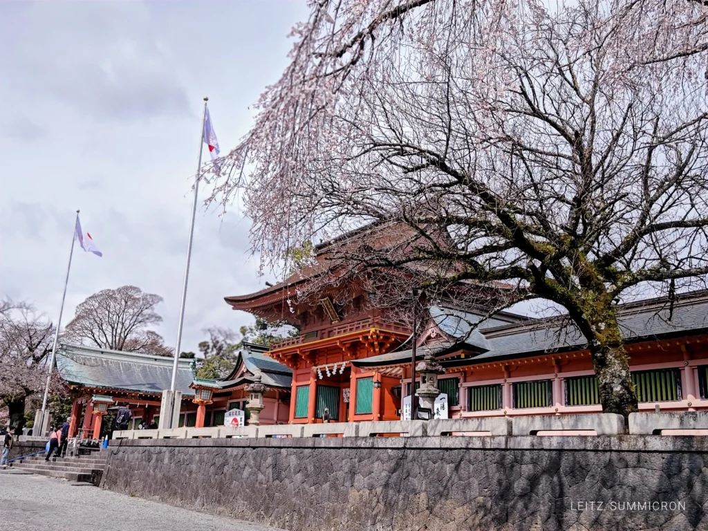 富士宮市【掬水ラウンジ・蕎麦処】浅間大社湧玉池に佇む歴史ある宿泊施設『掬水』のラウンジで金・土のみ営業する蕎麦cafeが3月20日オープン!ダヤンテールblog