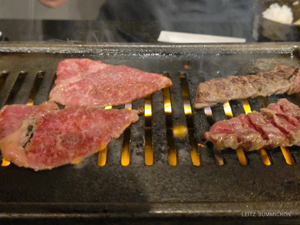 富士宮市【焼肉ふじ山富士宮店】氷温熟成焼肉の週末限定ランチ！定食とグランドメニューのハラミスモークステーキでハラミ三昧！ダヤンテールblog