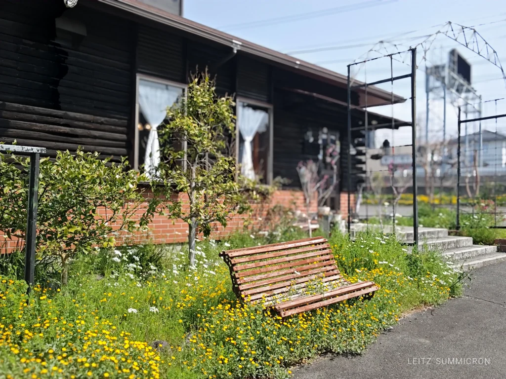 富士宮市【和洋食＆珈琲ころぼっくる】可愛らしい雰囲気のレトロ風なお食事処は少人数予約で！ダヤンテールblog