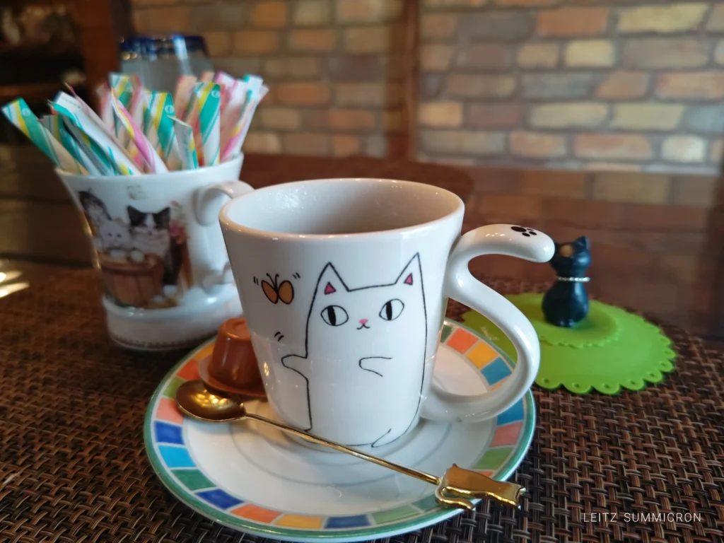 富士宮市【和洋食＆珈琲ころぼっくる】可愛らしい雰囲気のレトロ風なお食事処は少人数予約で！ダヤンテールblog