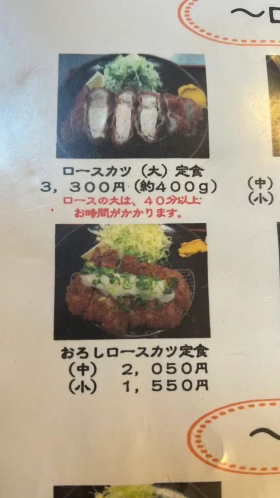 富士市【とんかつ たか山】リーズナブル&ボリューミーな揚げ物店のお得なランチ!午後予定がある人は注意!?スタミナとんかつと、色々楽しめるレディスらんち!ダヤンテールblog