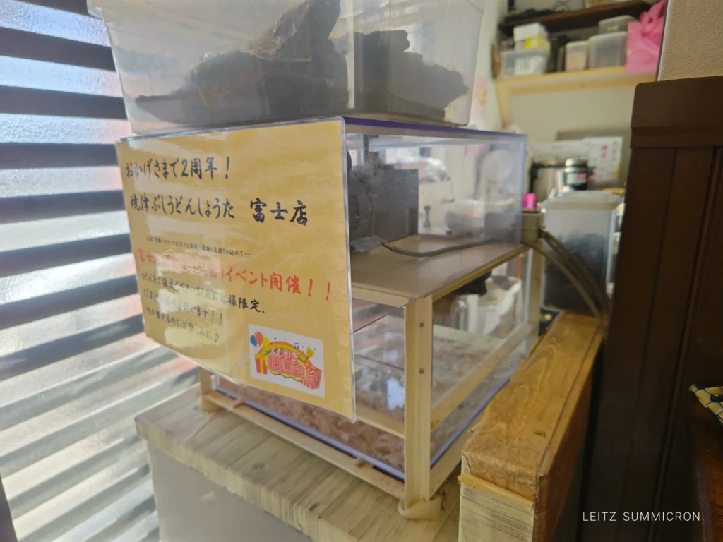 富士市【焼津ぶしうどん しょうた富士店】２周年を迎えた、朝７時から営業の人気のうどん店！朝から『削りたて』『揚げたて』『茹でたて』が味わえる至極の逸品！ダヤンテールblog