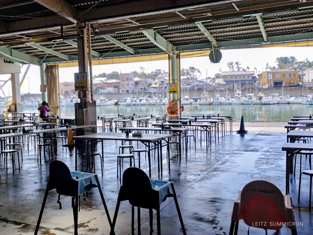 富士市【田子の浦港 漁協食堂】2026年４月１日～今期オープン！今年は重油関係で漁が多難…でも田子の生しらすはやっぱり美味しい！ダヤンテールblog