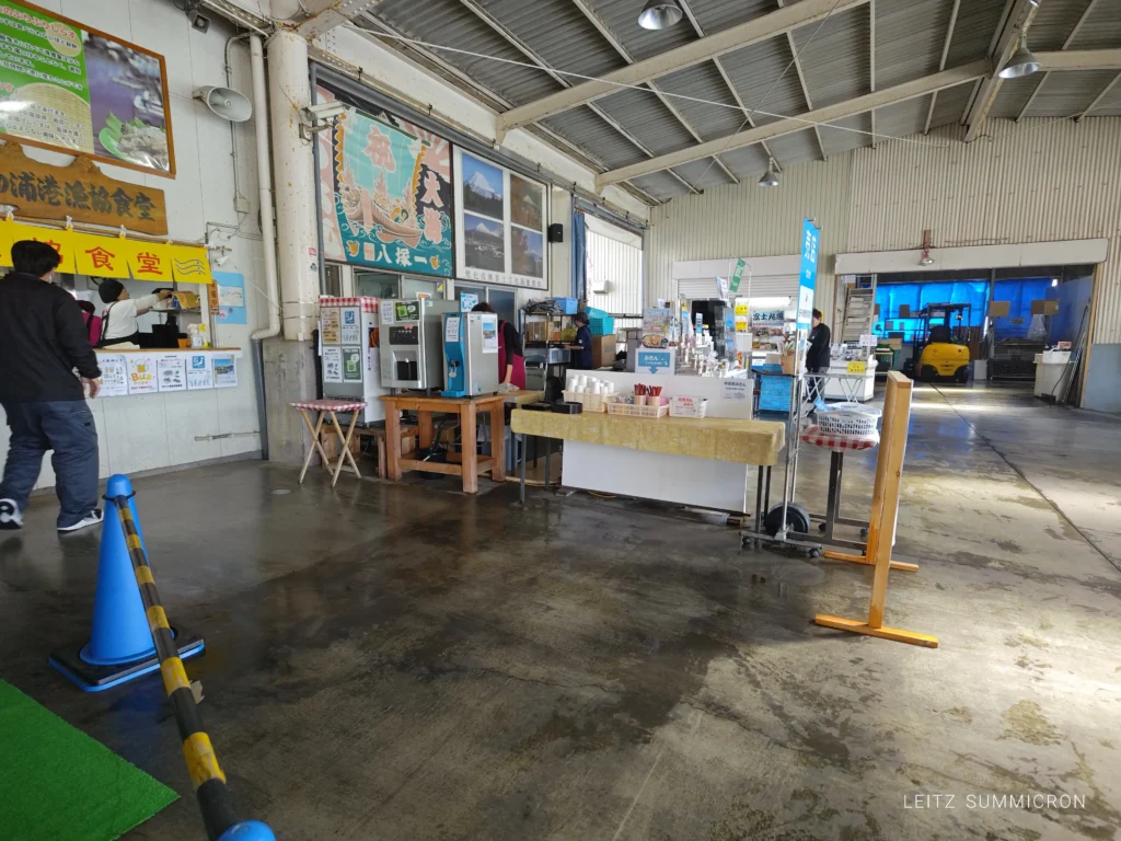 富士市【田子の浦港 漁協食堂】2026年４月１日～今期オープン！今年は重油関係で漁が多難…でも田子の生しらすはやっぱり美味しい！ダヤンテールblog