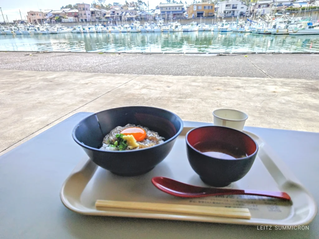 富士市【田子の浦港 漁協食堂】2026年４月１日～今期オープン！今年は重油関係で漁が多難…でも田子の生しらすはやっぱり美味しい！ダヤンテールblog