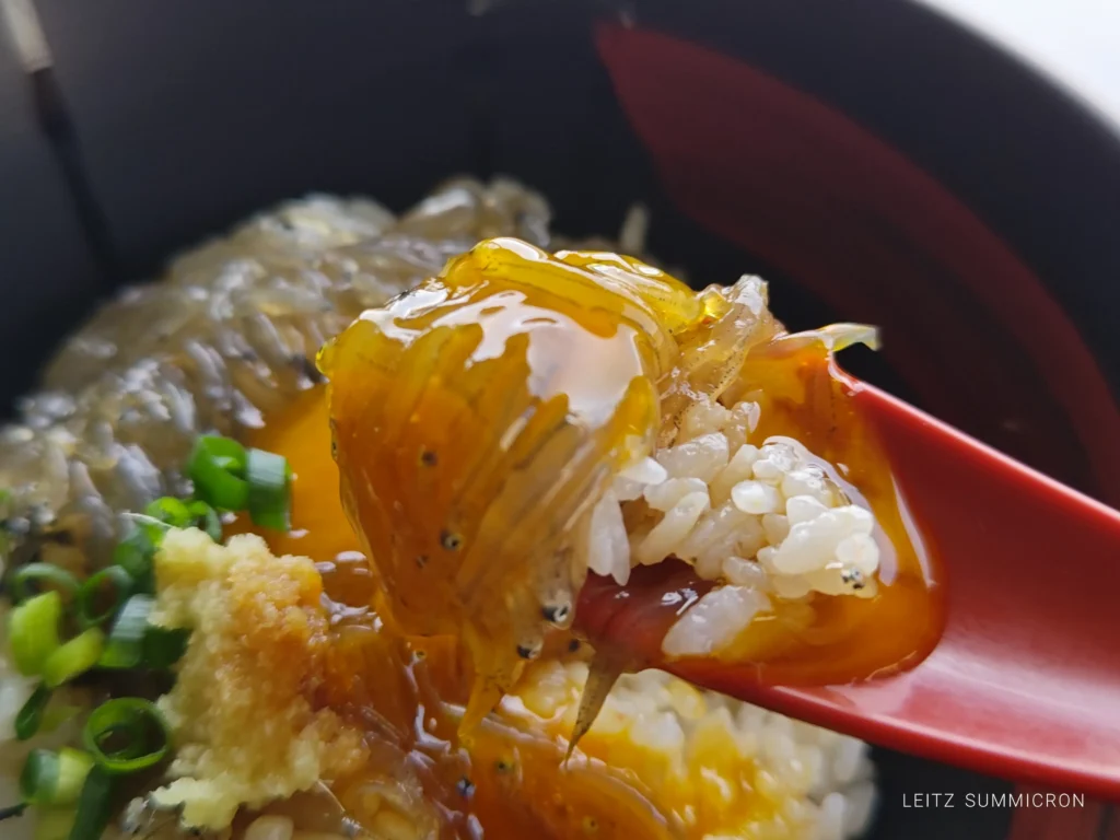 富士市【田子の浦港 漁協食堂】2026年４月１日～今期オープン！今年は重油関係で漁が多難…でも田子の生しらすはやっぱり美味しい！ダヤンテールblog